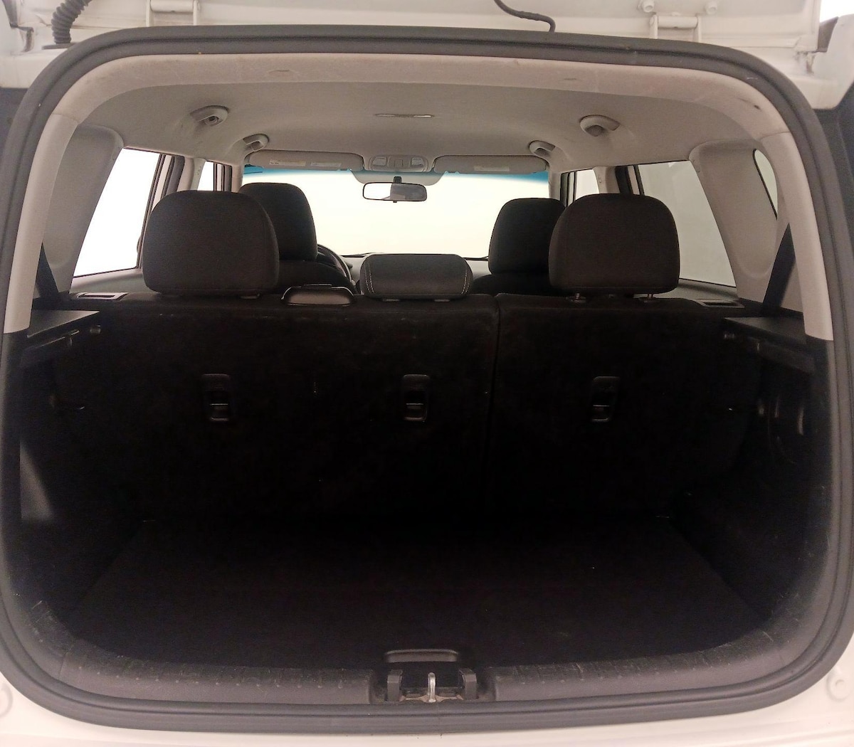 Trunk/Cargo (Seats Up)