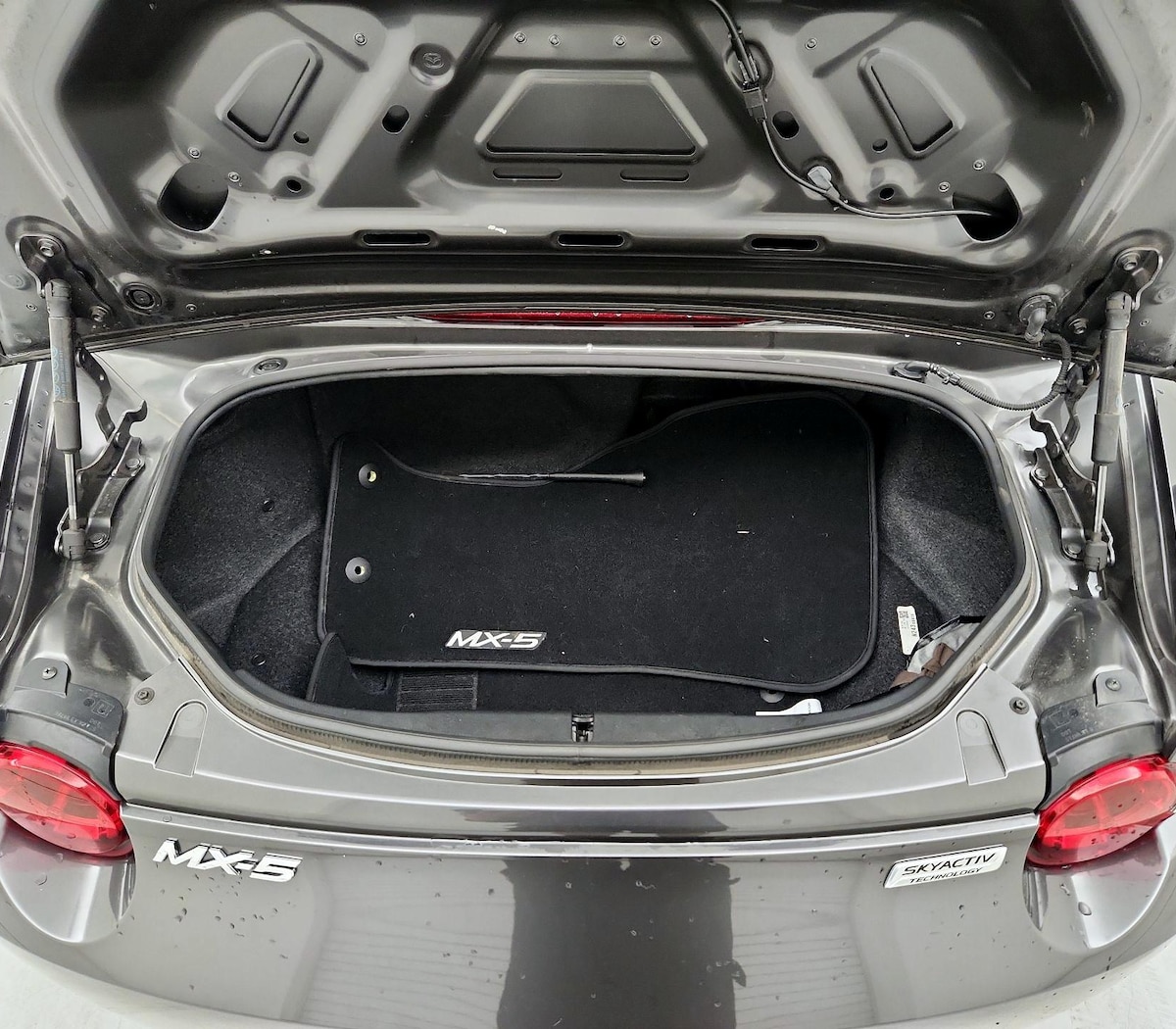 Trunk/Cargo (Seats Up)
