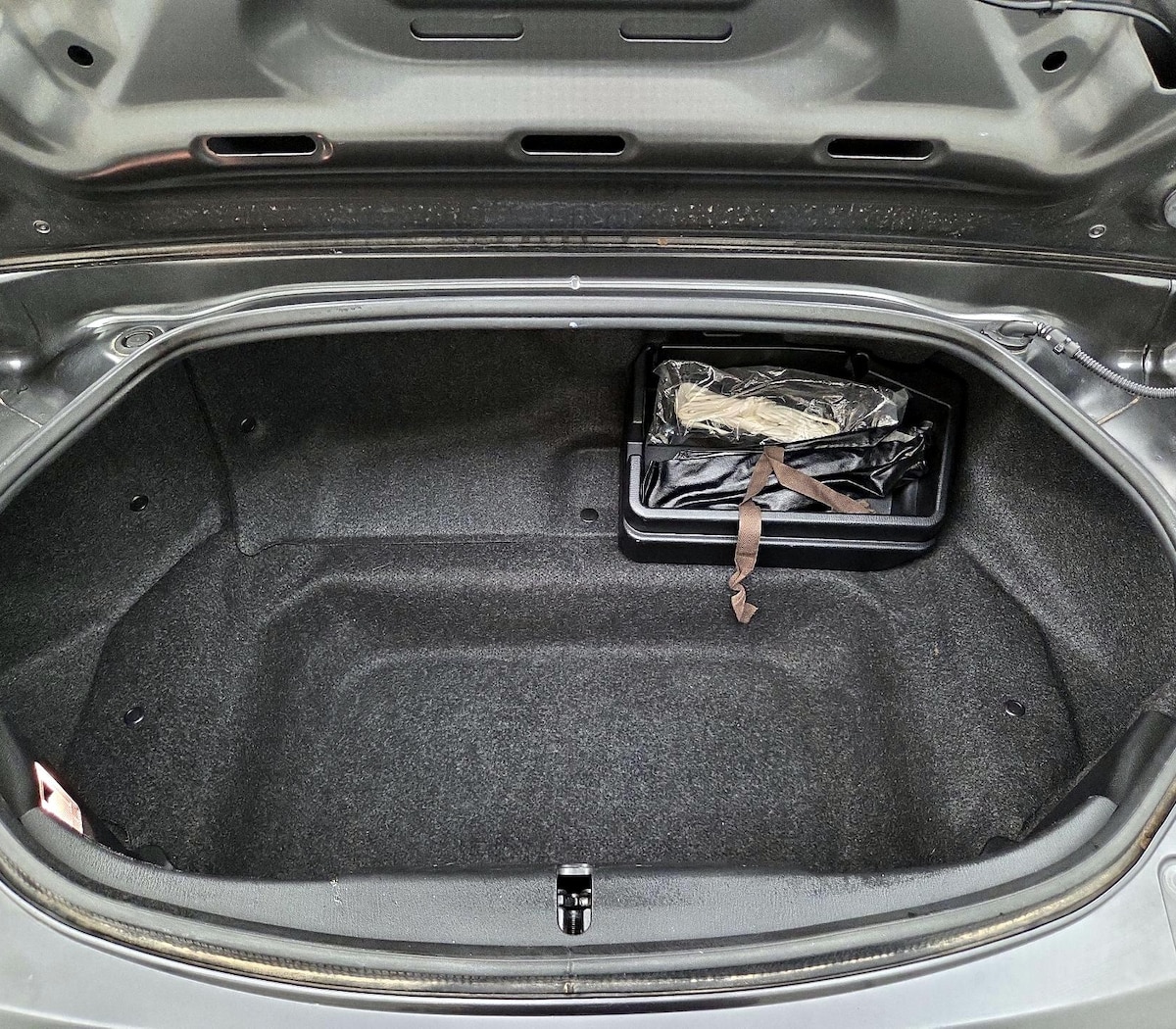 Trunk/Cargo (Seats Up)