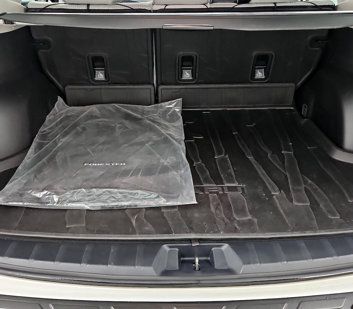 Trunk/Cargo (Seats Up)