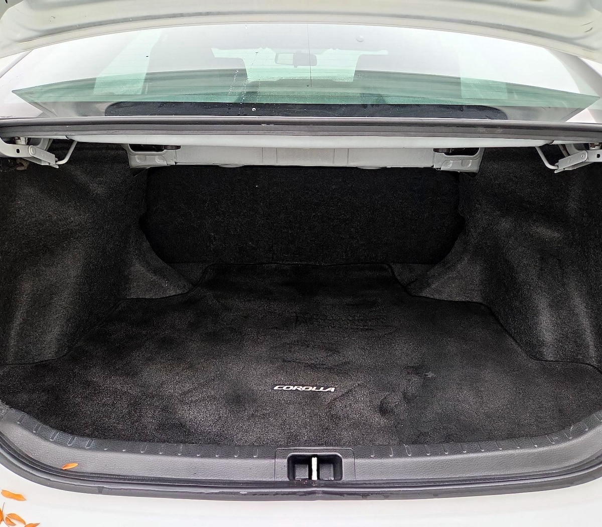Trunk/Cargo (Seats Up)