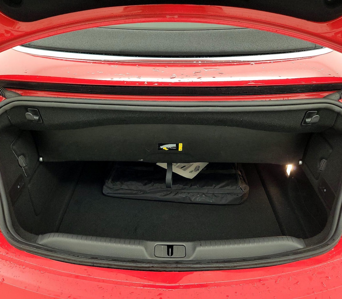 Trunk/Cargo (Seats Up)