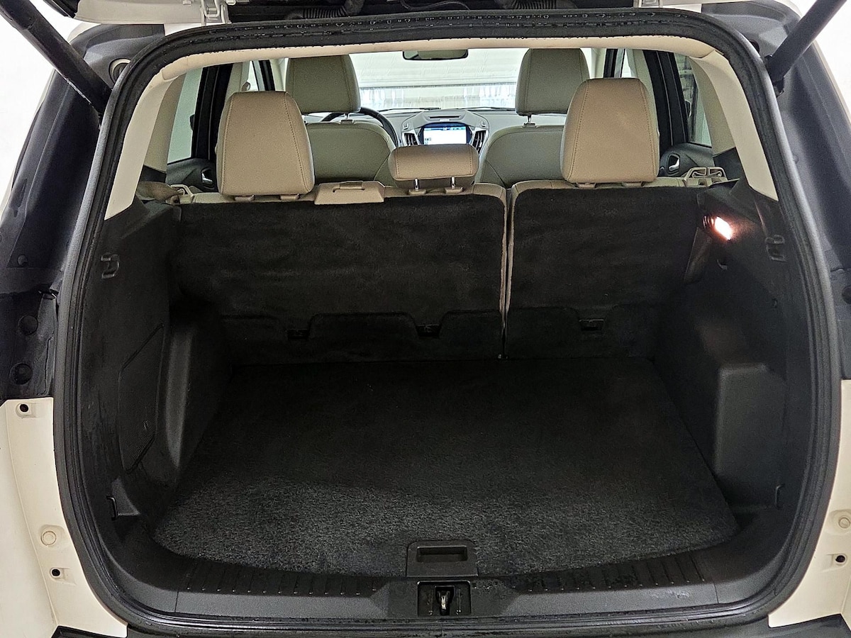 Trunk/Cargo (Seats Up)