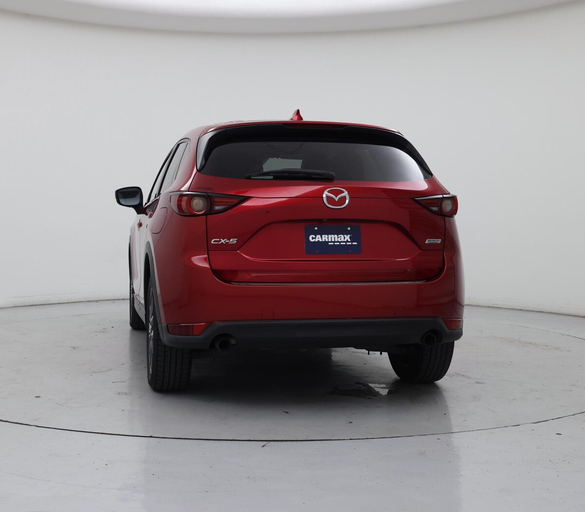 Rear