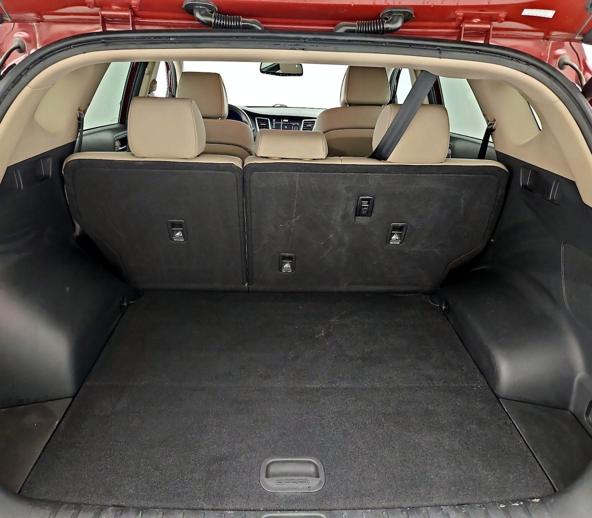 Trunk/Cargo (Seats Up)