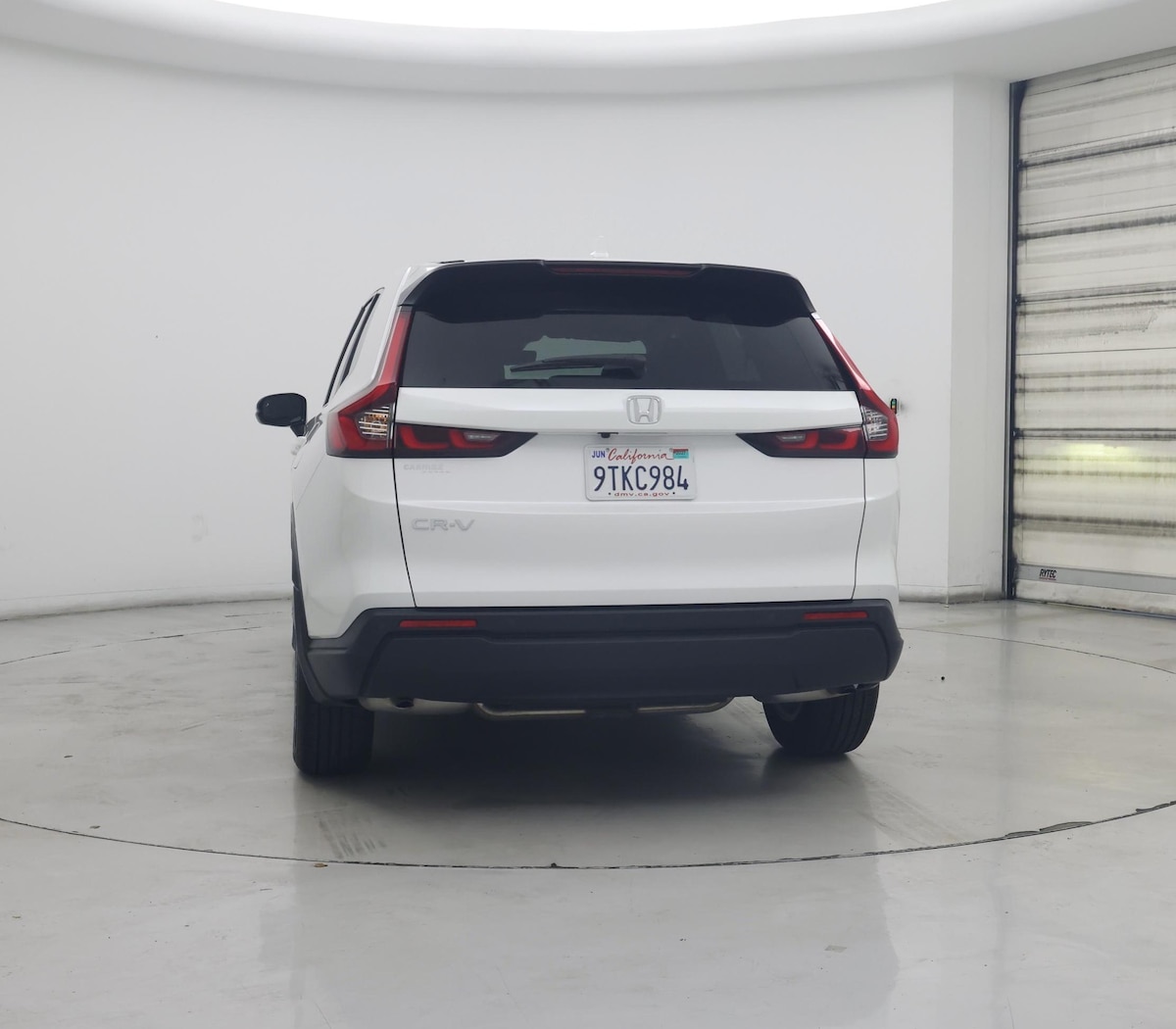 Rear