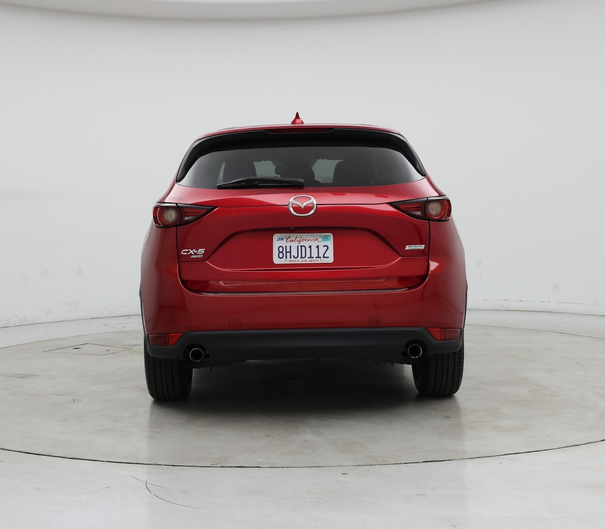 Rear