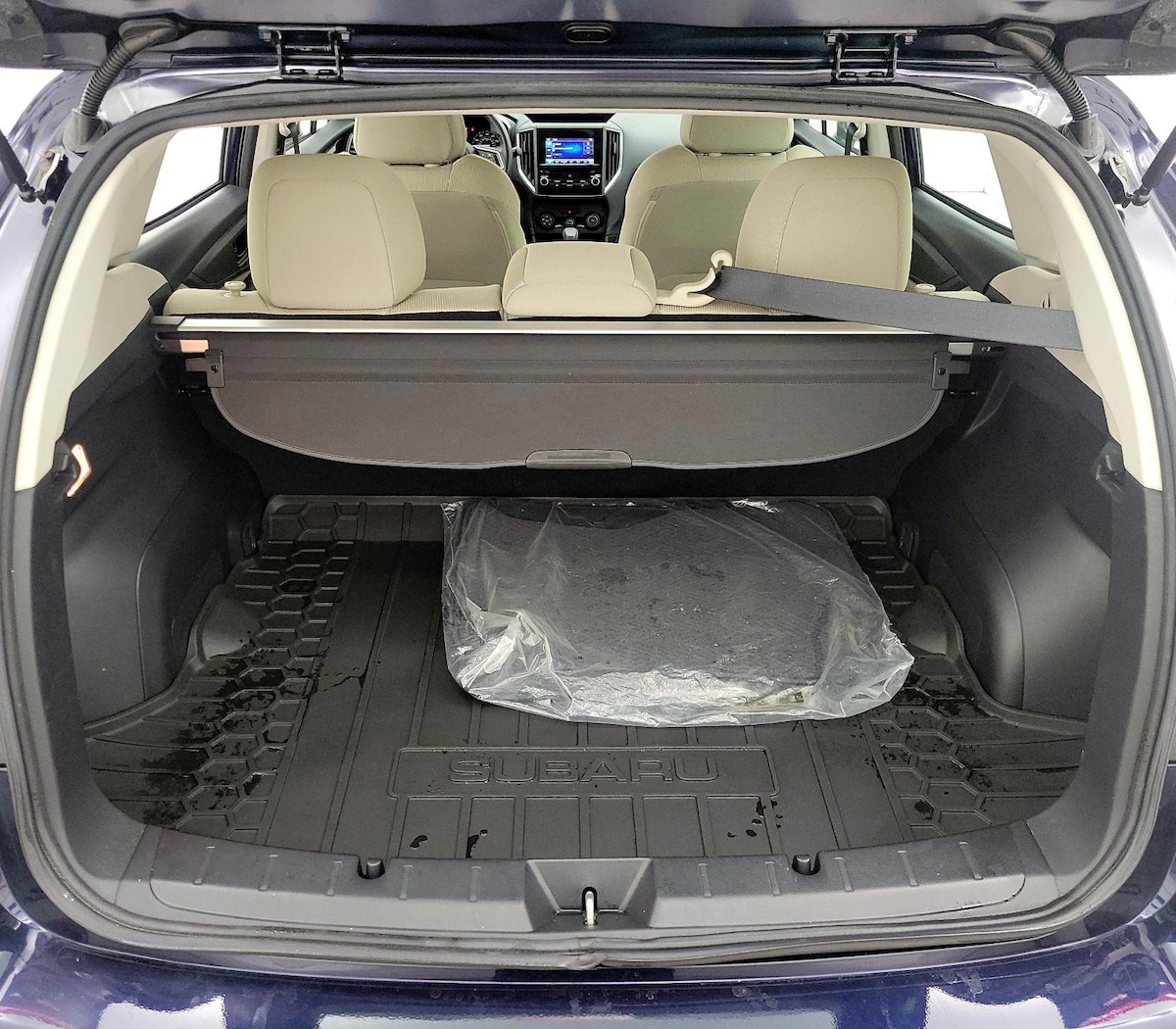 Trunk/Cargo (Seats Up)