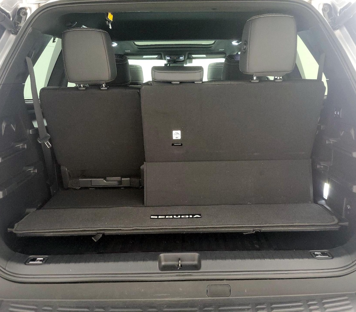 Trunk/Cargo (Seats Up)