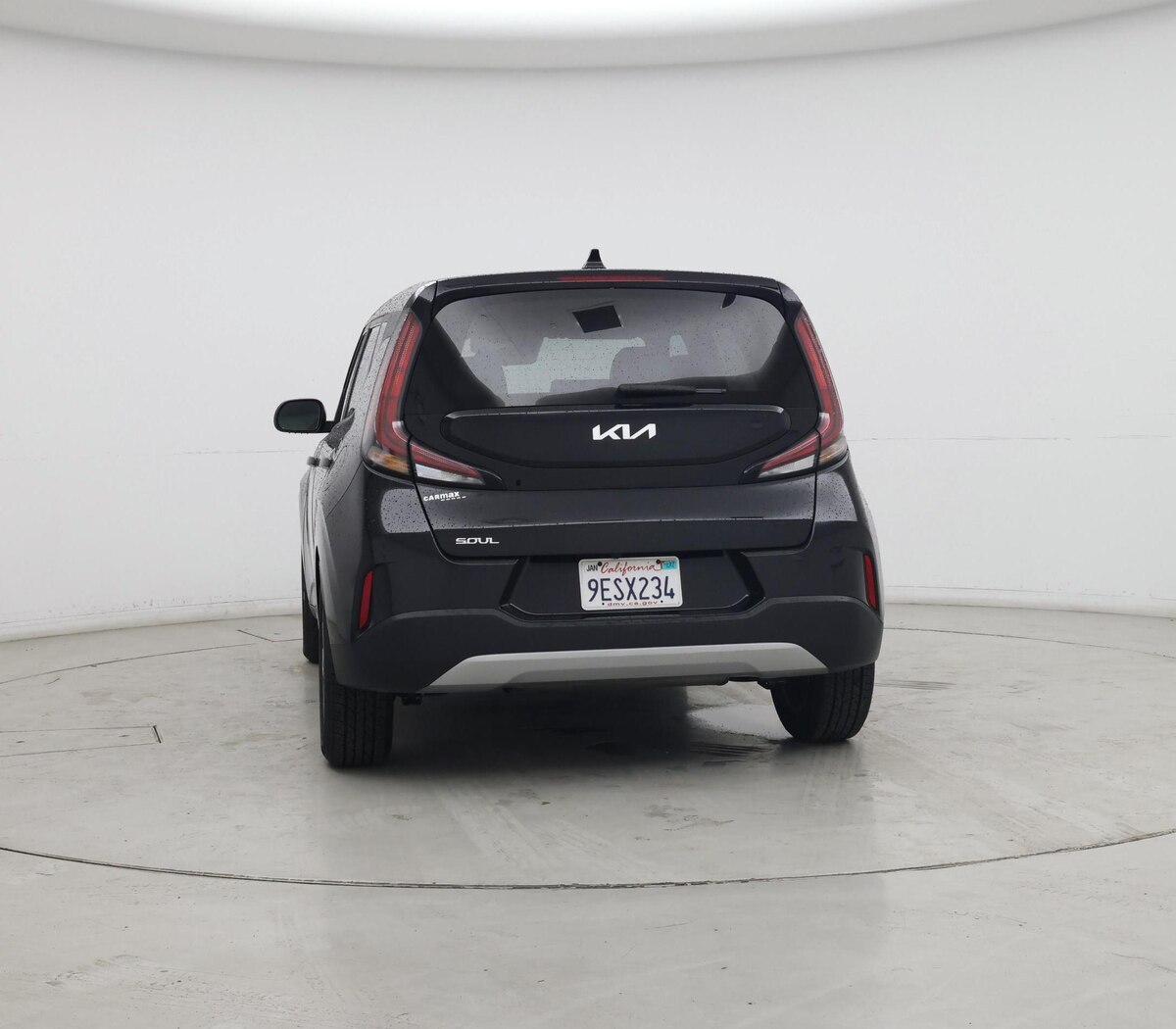 Rear