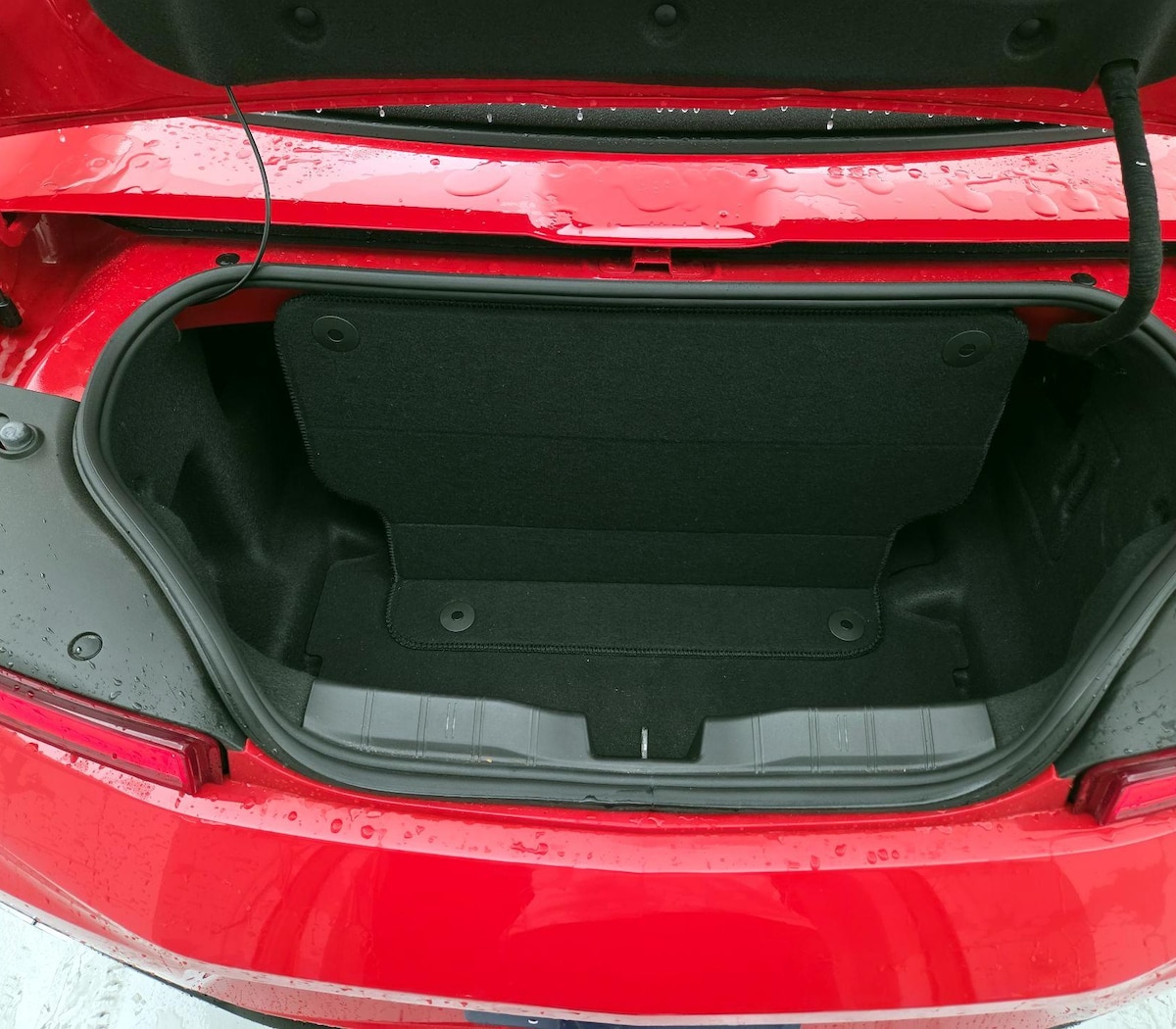 Trunk/Cargo (Seats Up)