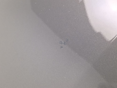 Condition detail