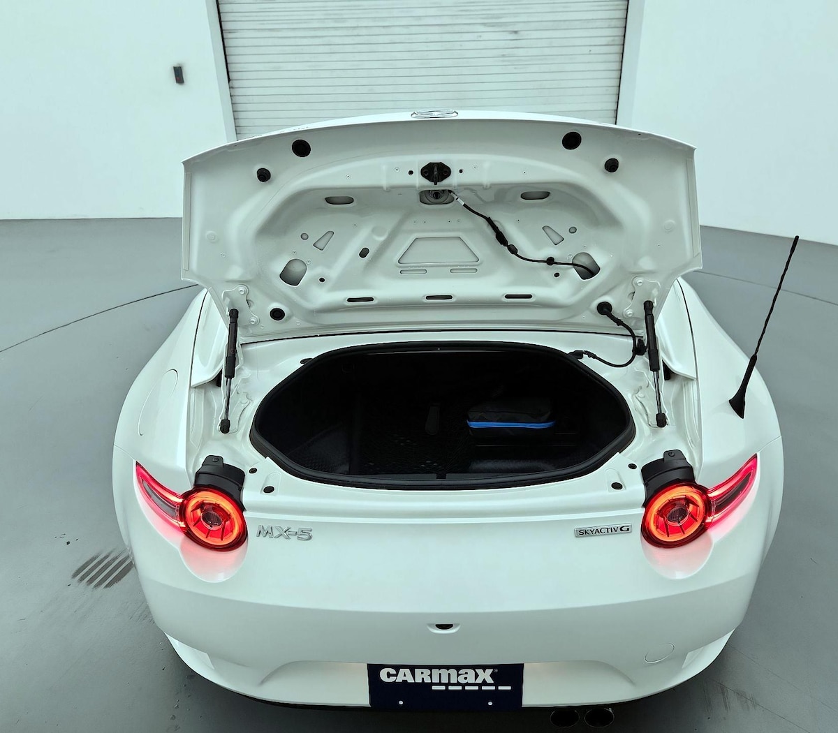 Trunk/Cargo (Seats Up)