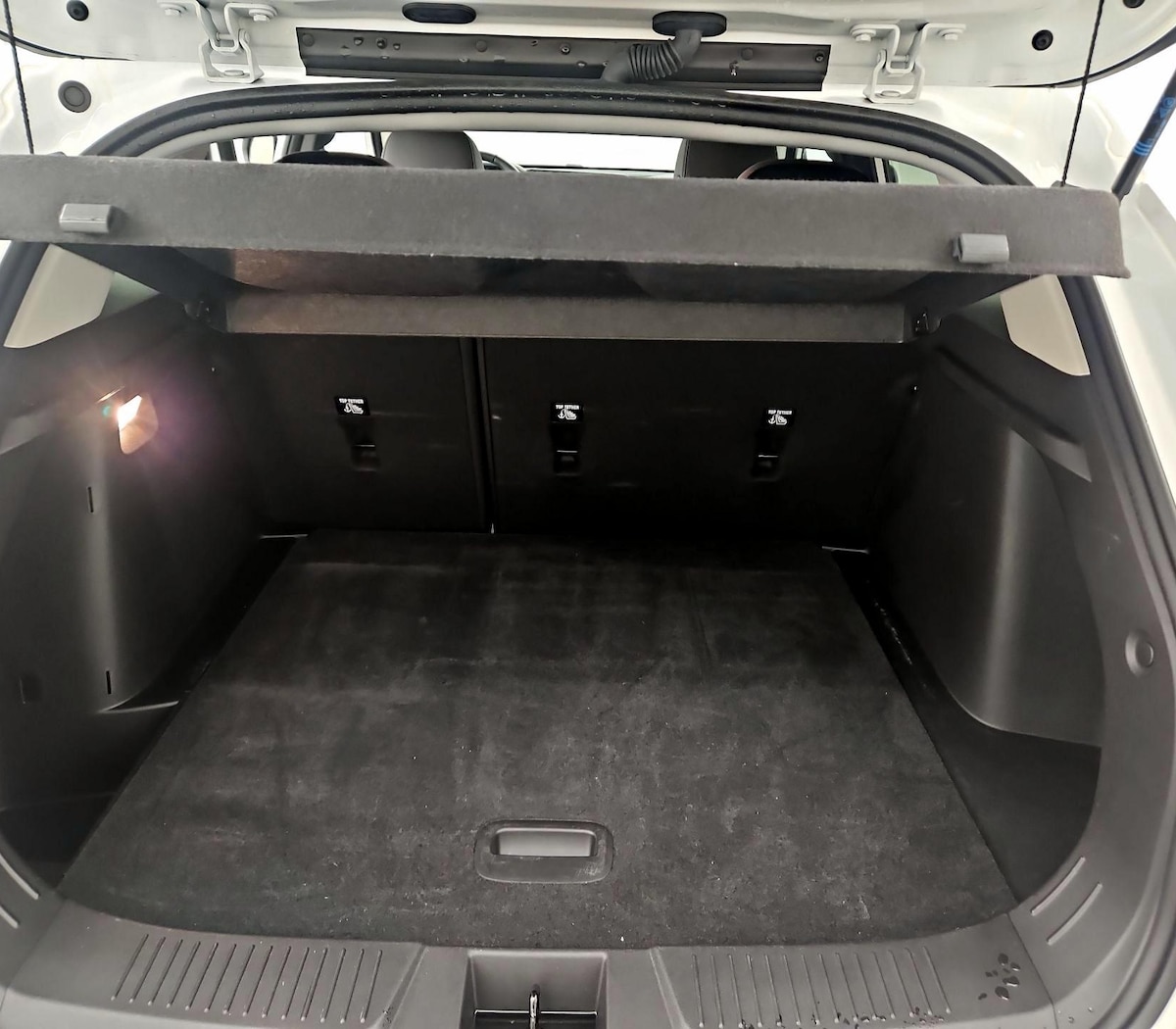 Trunk/Cargo (Seats Up)