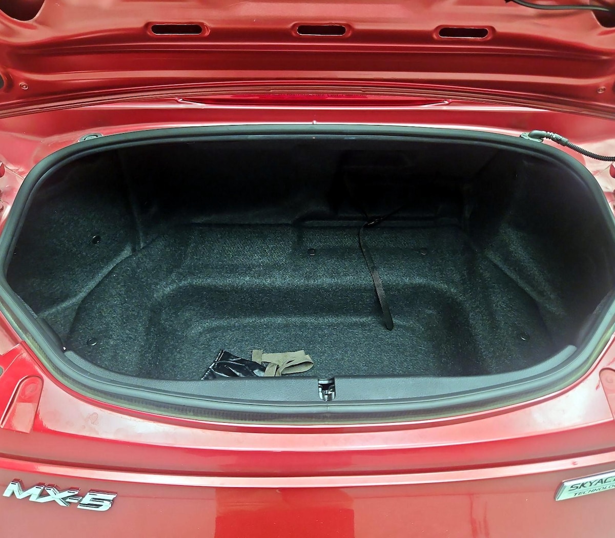 Trunk/Cargo (Seats Up)