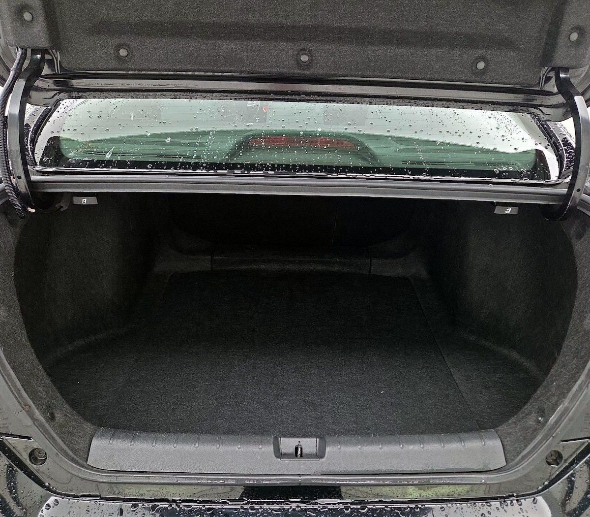 Trunk/Cargo (Seats Up)