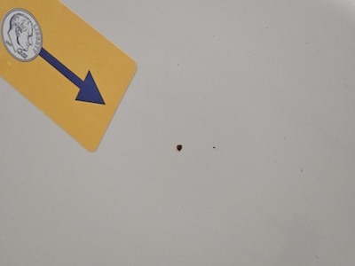 Condition detail
