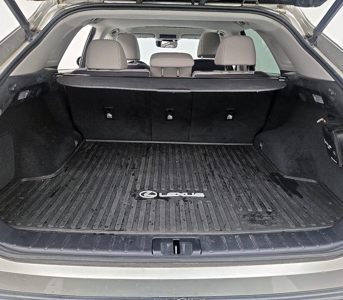 Trunk/Cargo (Seats Up)