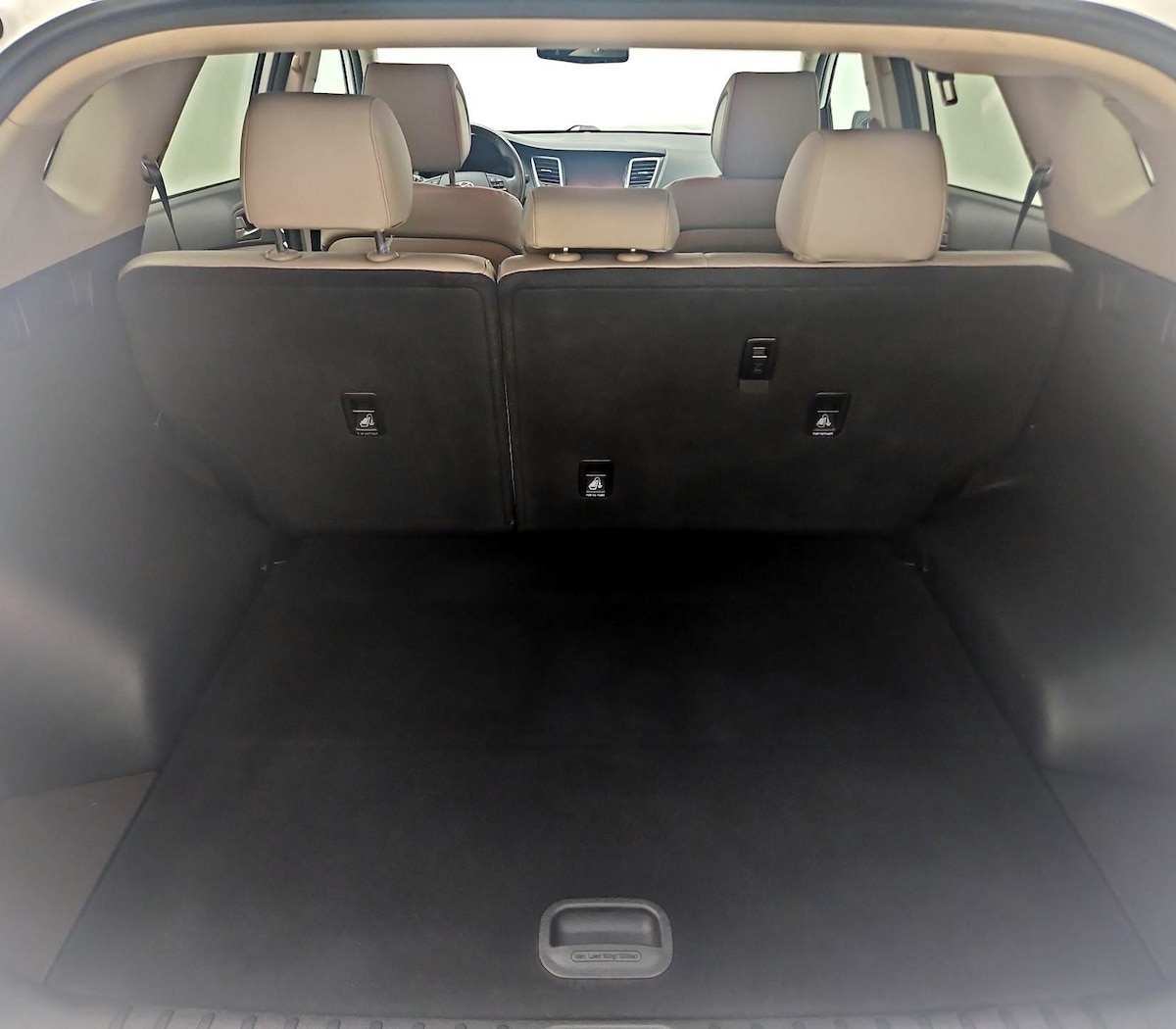 Trunk/Cargo (Seats Up)