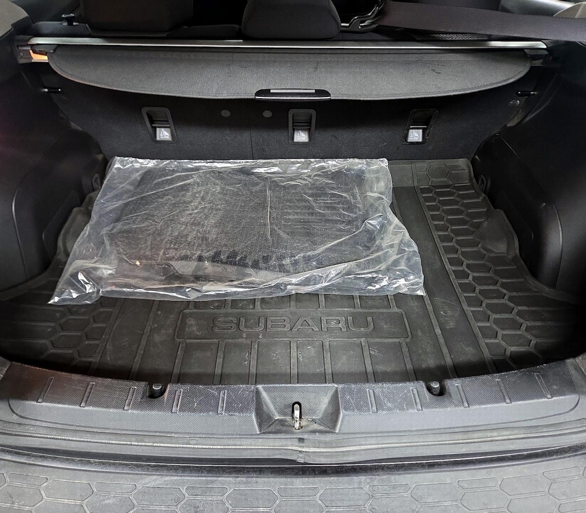 Trunk/Cargo (Seats Up)
