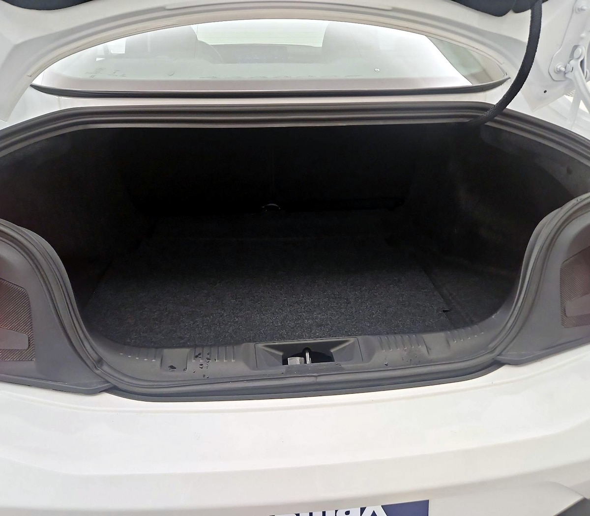 Trunk/Cargo (Seats Up)
