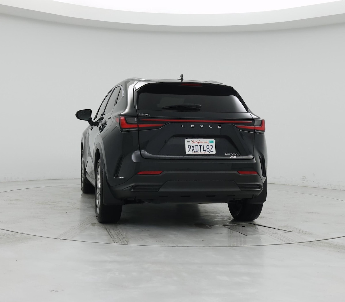 Rear