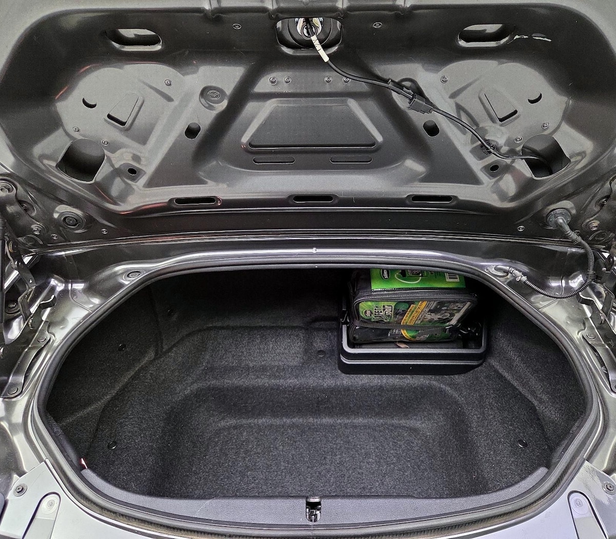 Trunk/Cargo (Seats Up)