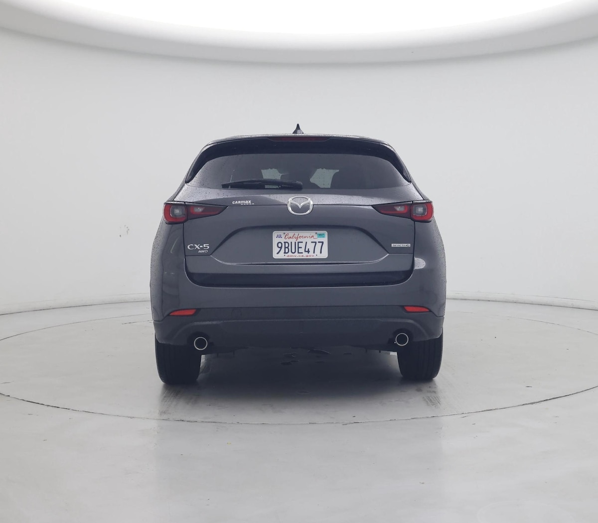 Rear