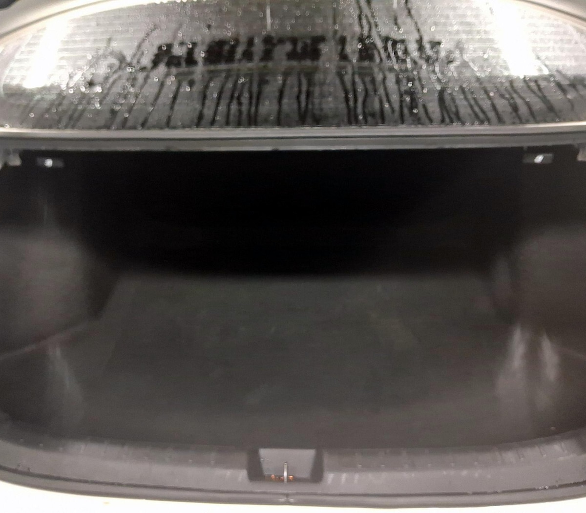 Trunk/Cargo (Seats Up)
