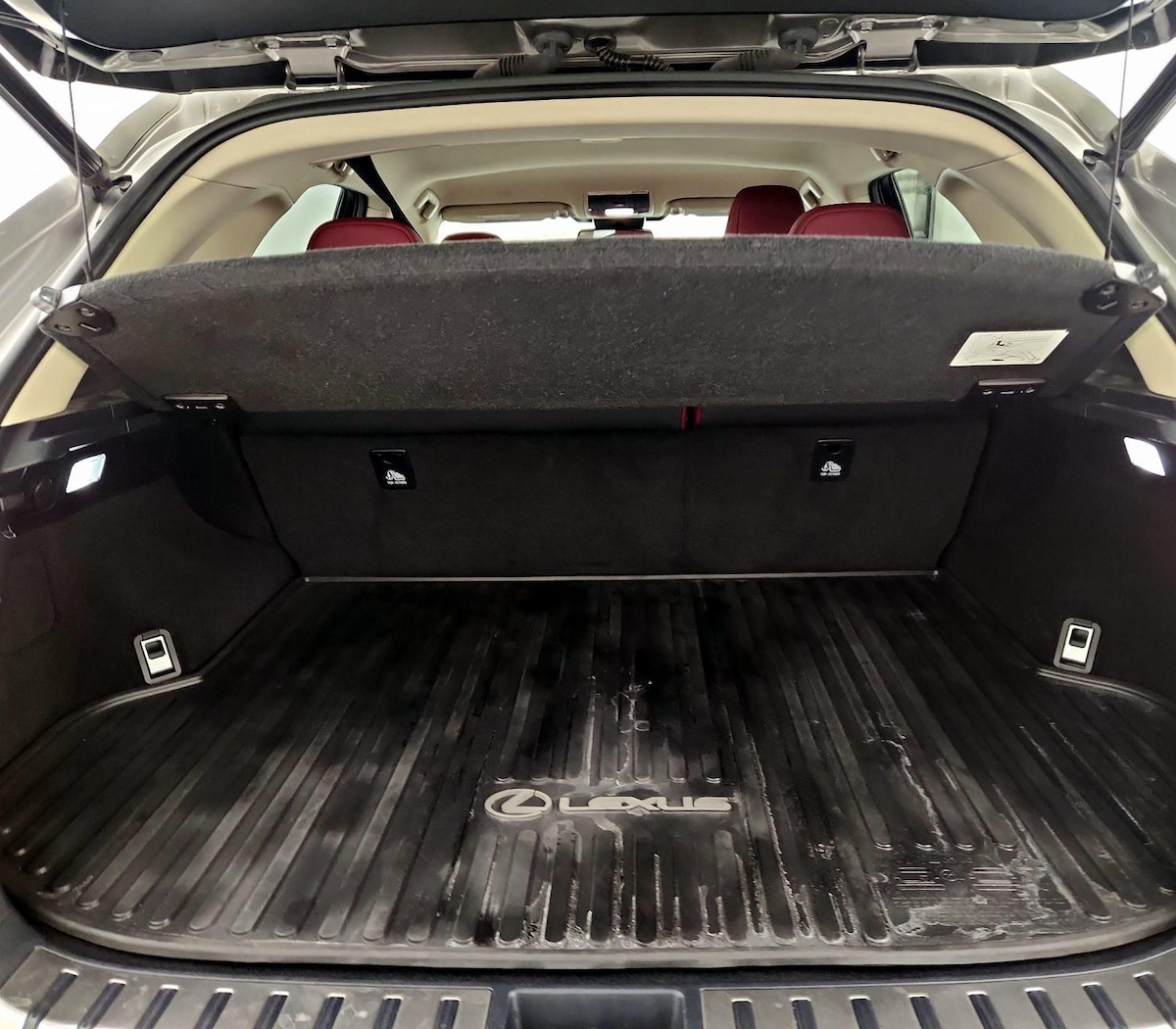 Trunk/Cargo (Seats Up)