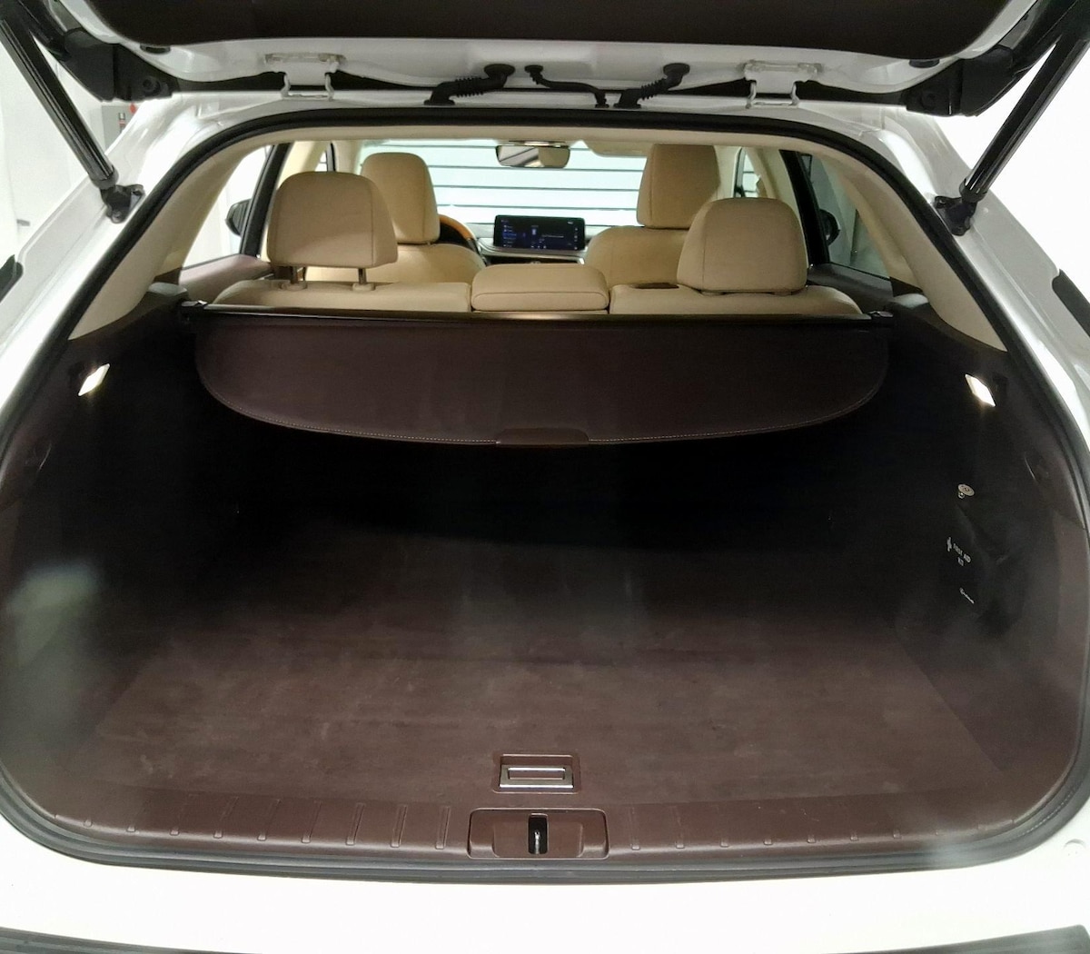 Trunk/Cargo (Seats Up)