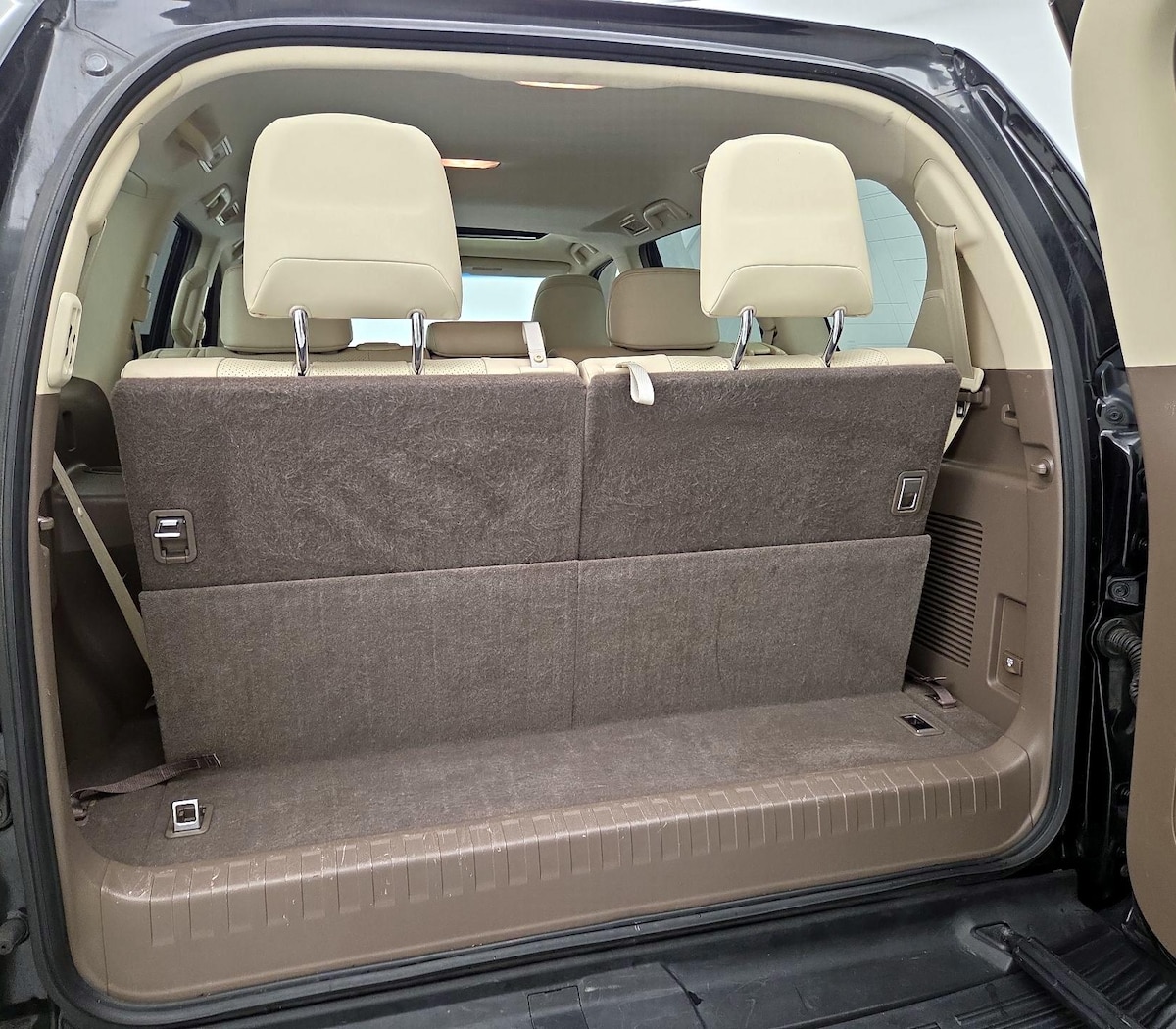Trunk/Cargo (Seats Up)