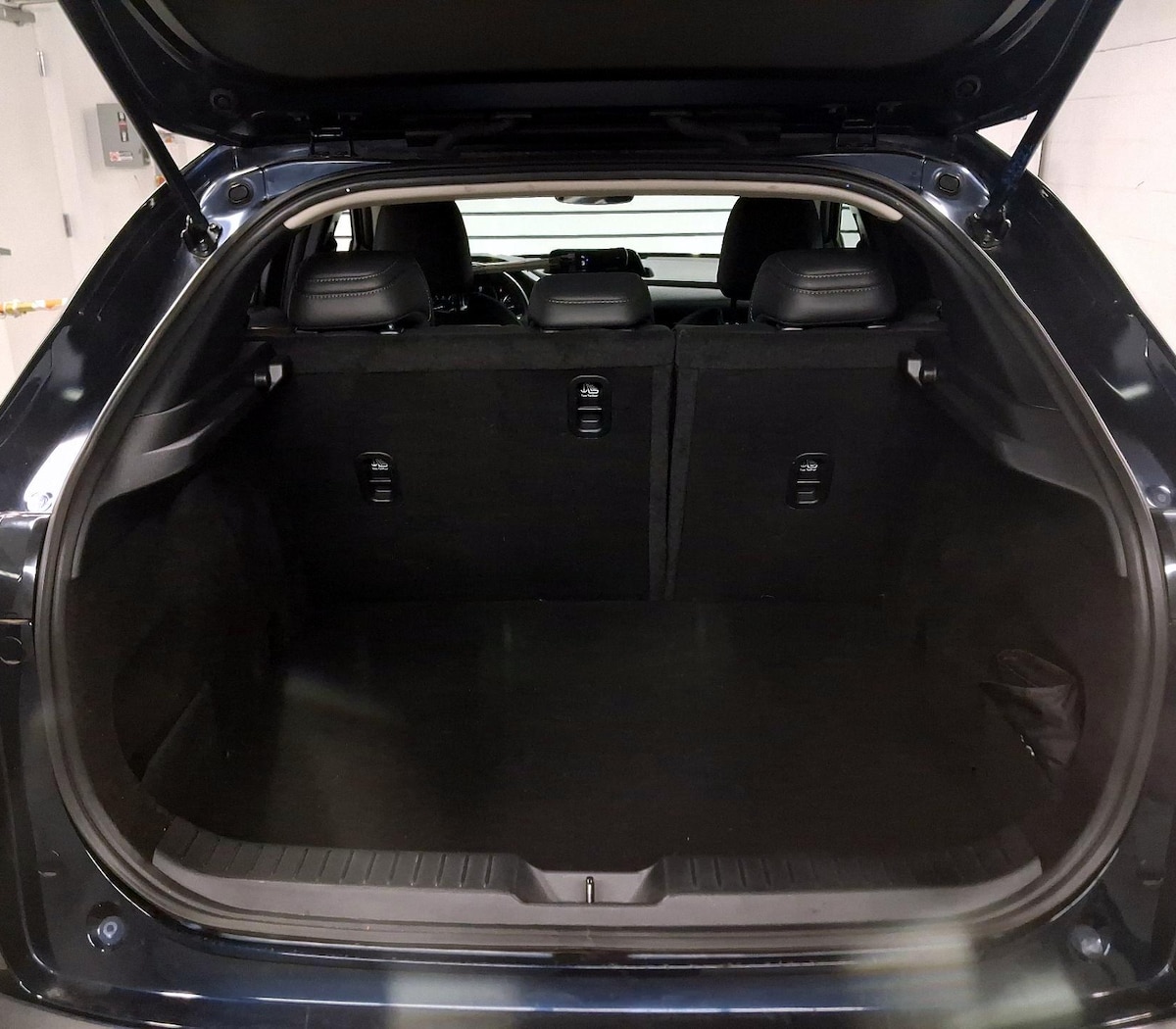 Trunk/Cargo (Seats Up)