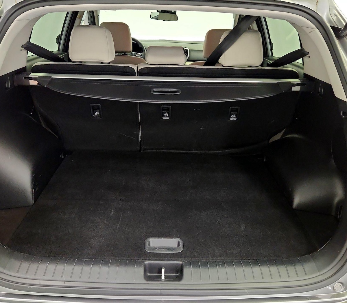 Trunk/Cargo (Seats Up)