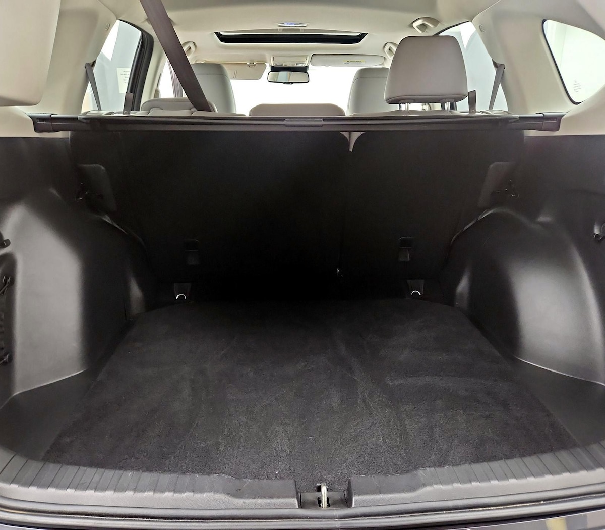 Trunk/Cargo (Seats Up)