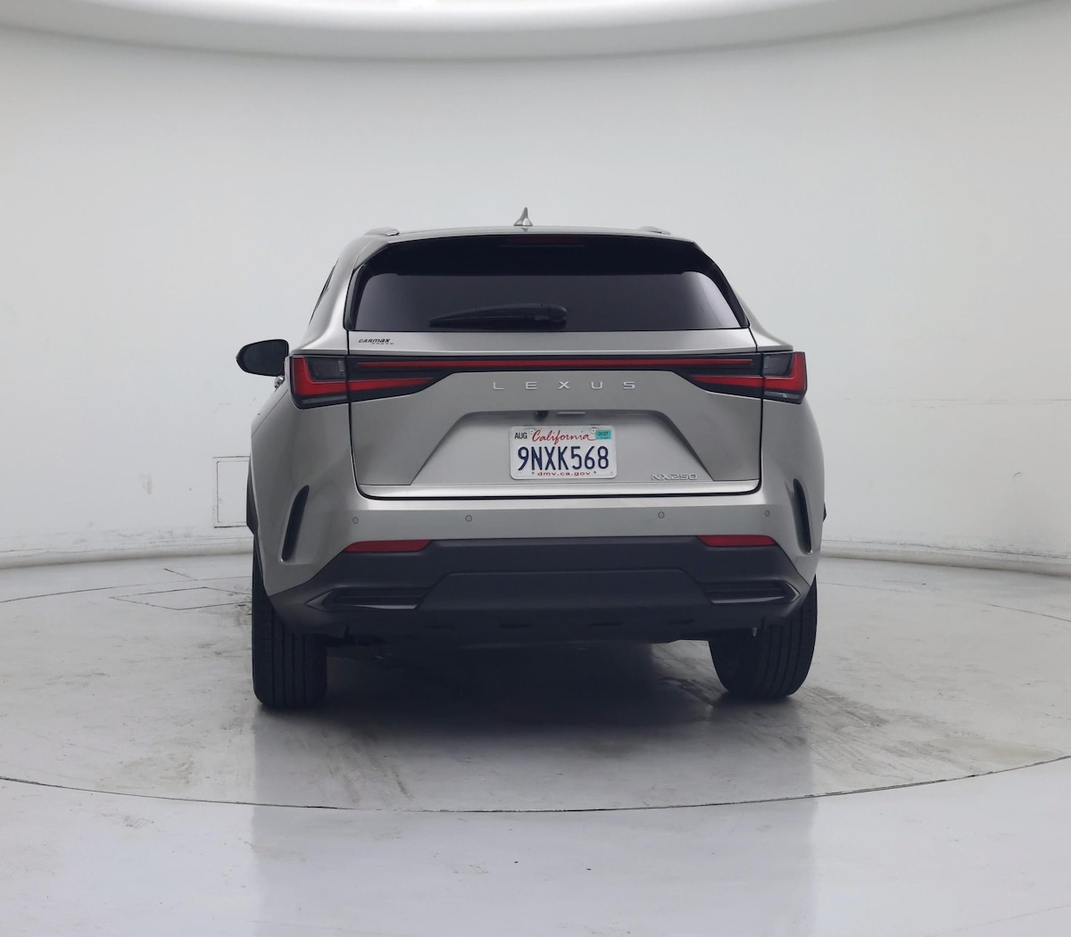 Rear
