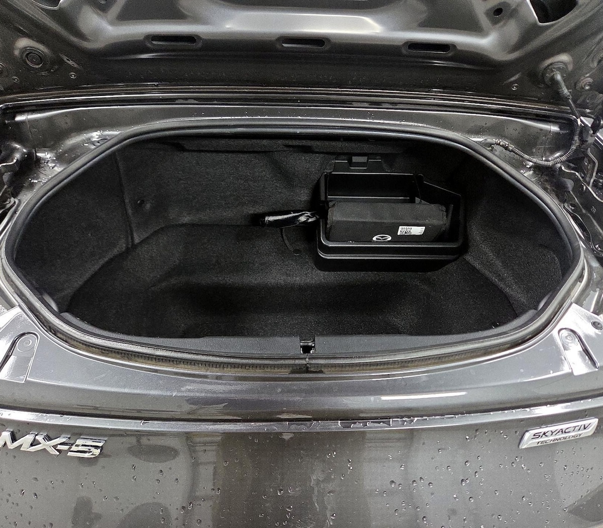 Trunk/Cargo (Seats Up)