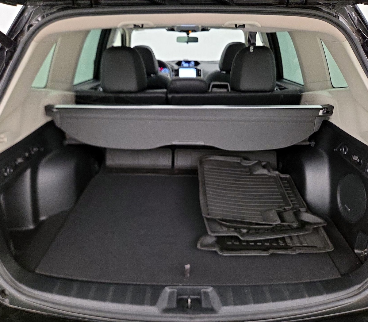 Trunk/Cargo (Seats Up)