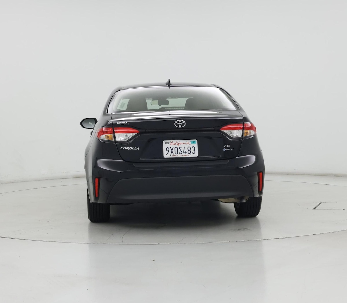 Rear