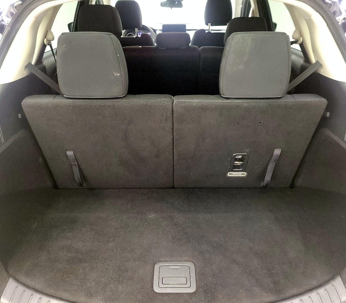 Trunk/Cargo (Seats Up)