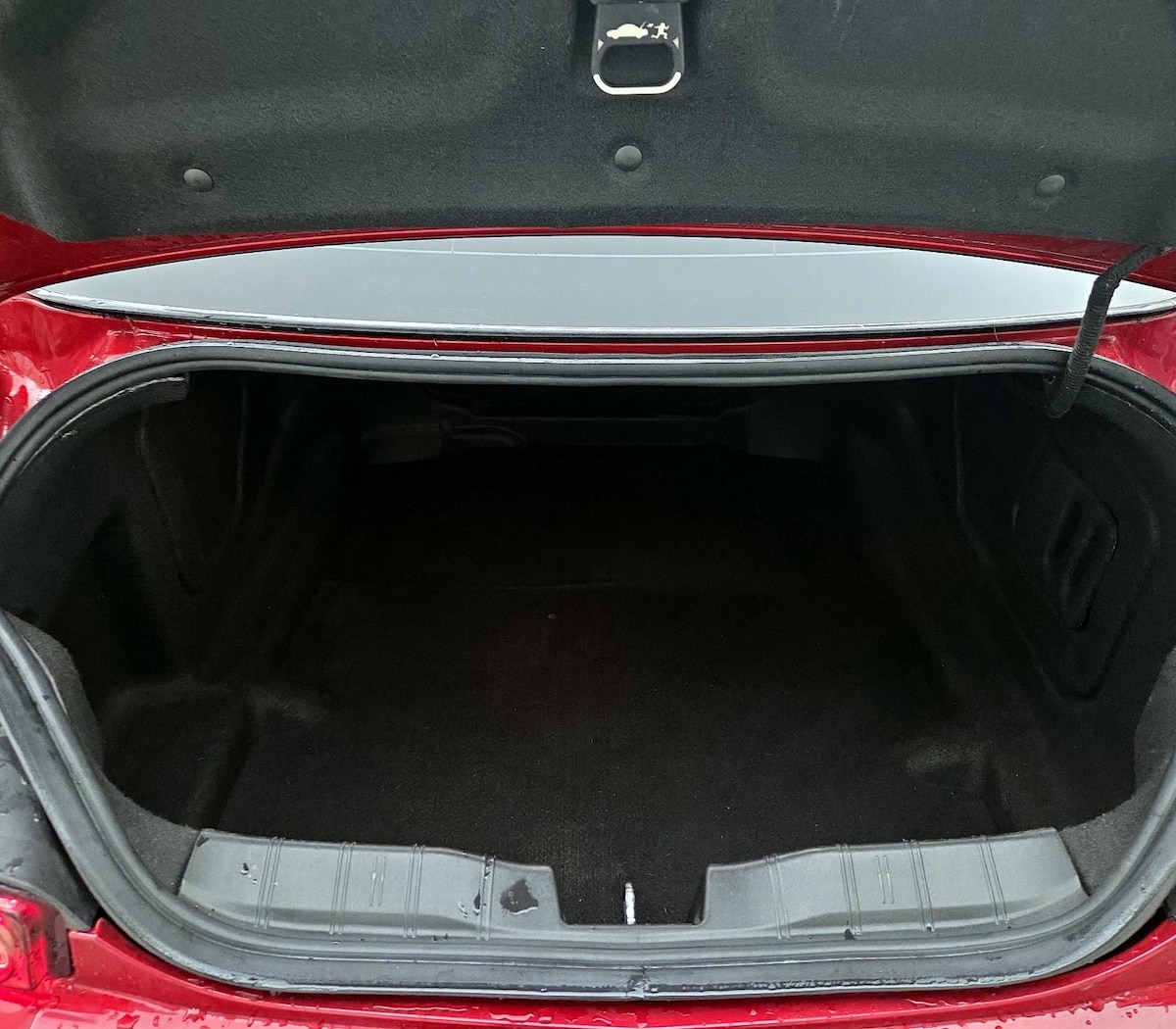 Trunk/Cargo (Seats Up)