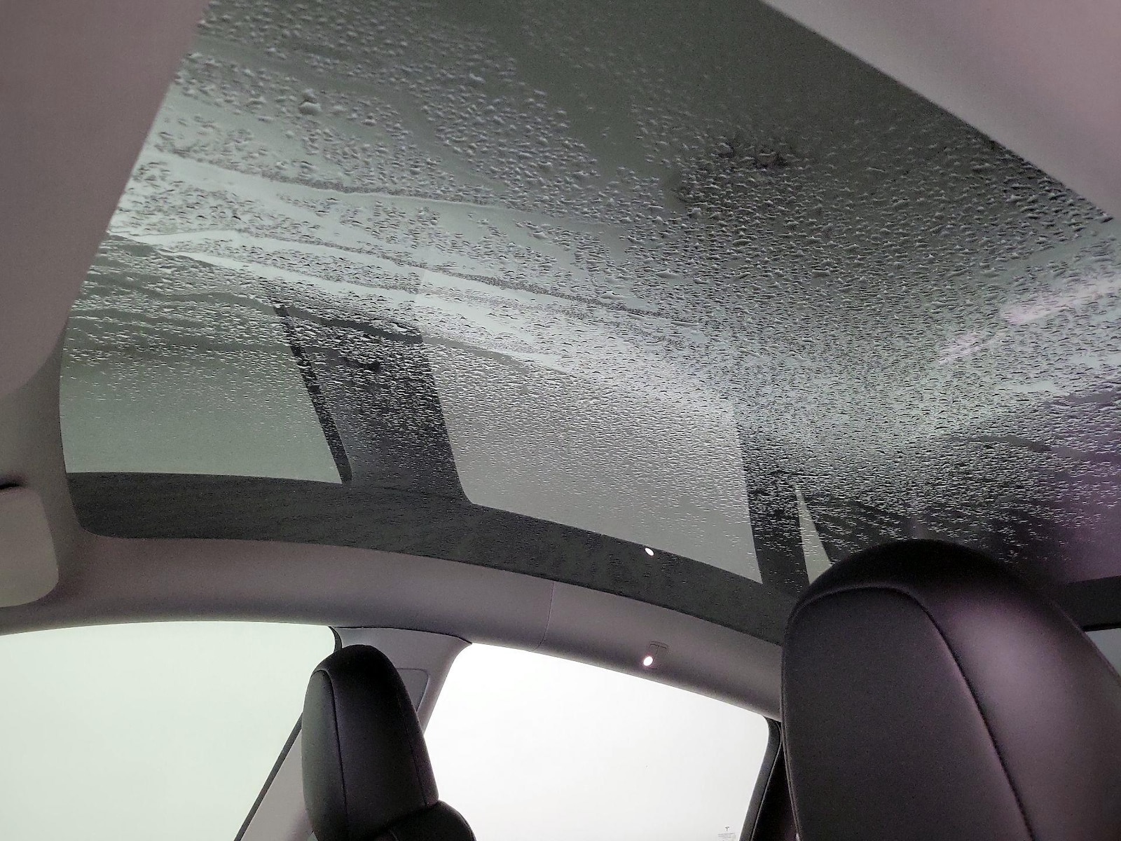 Skylight(s) & Overhead Airbags
