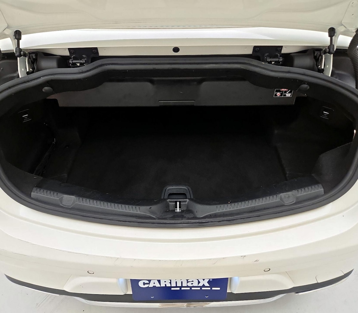 Trunk/Cargo (Seats Up)