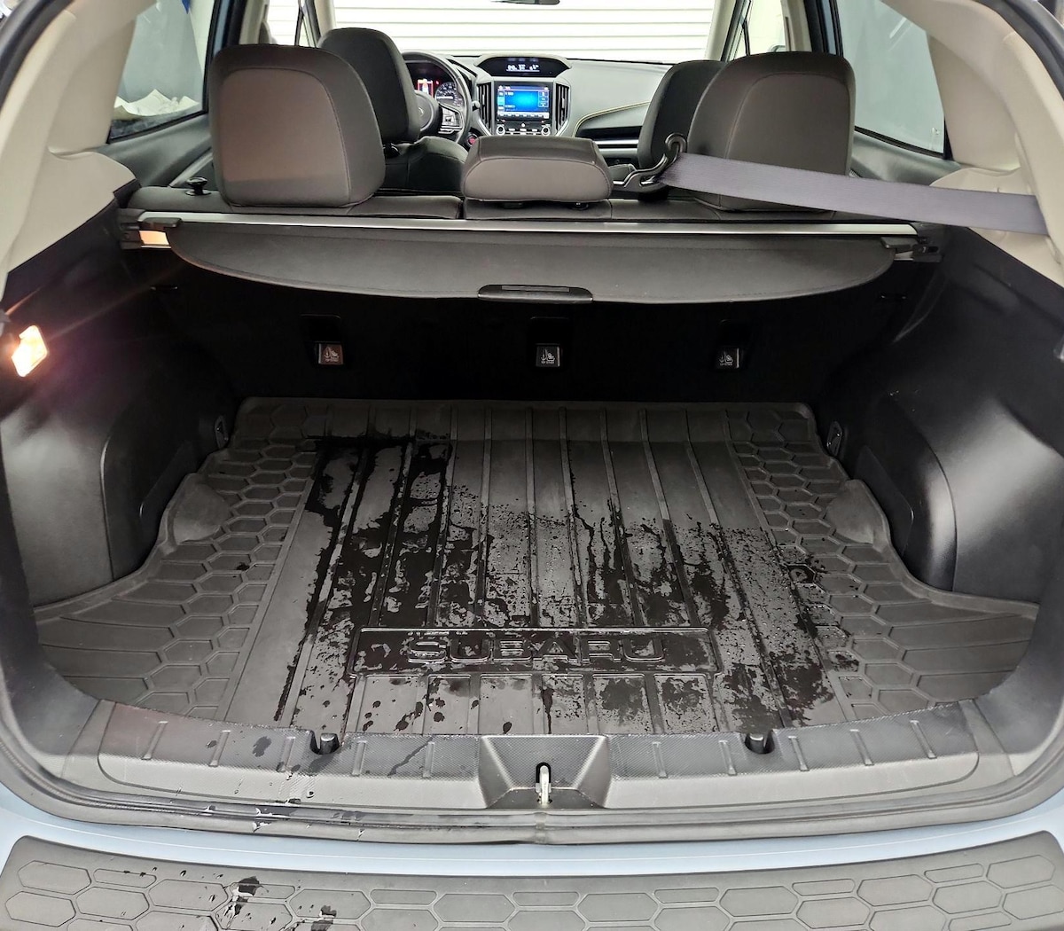 Trunk/Cargo (Seats Up)