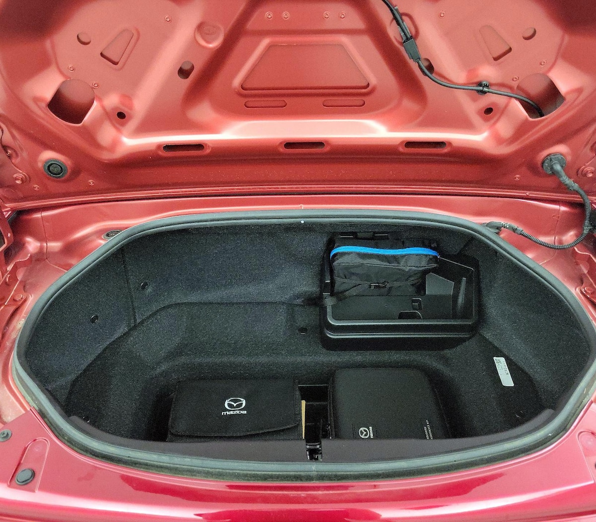 Trunk/Cargo (Seats Up)