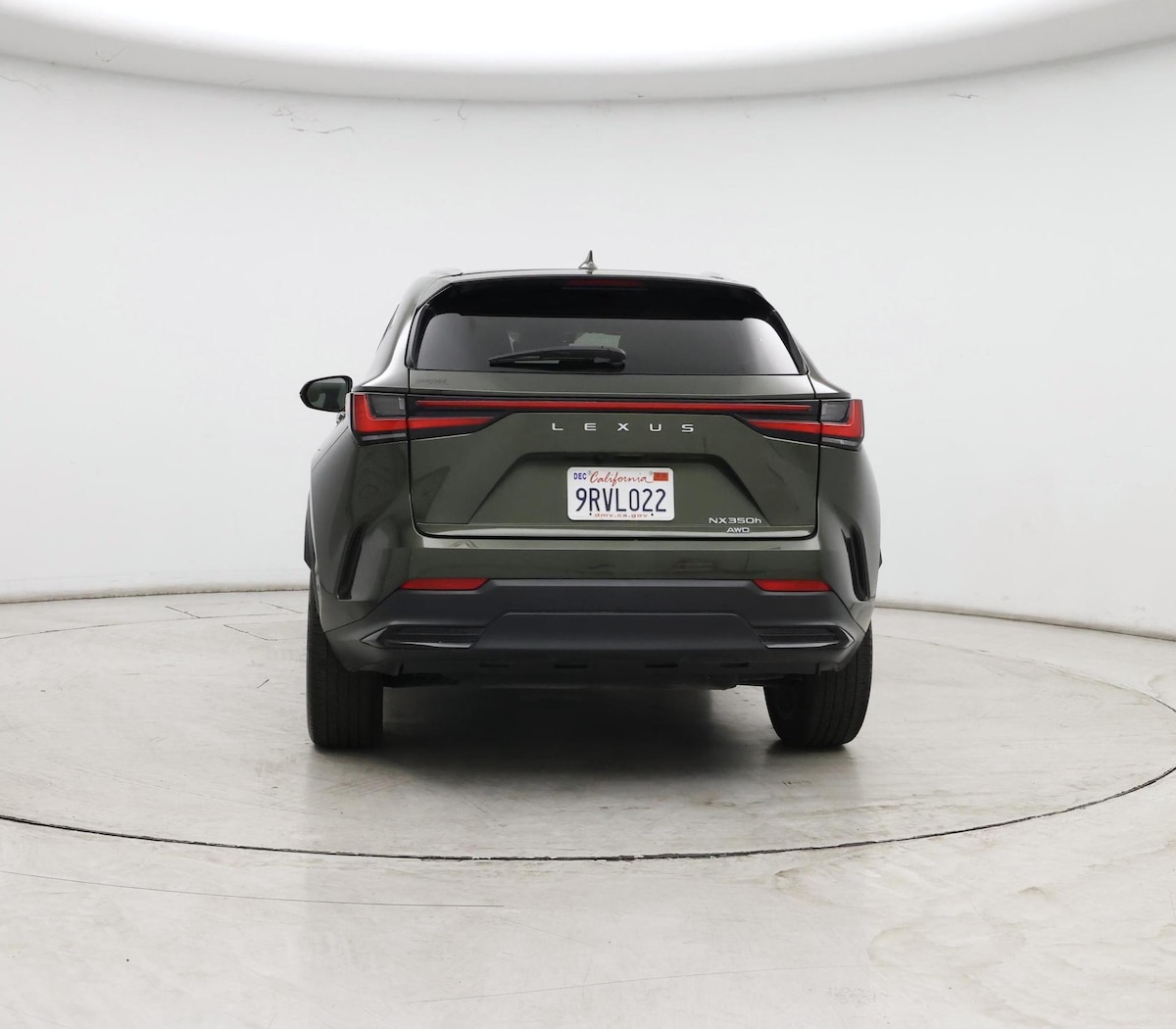 Rear