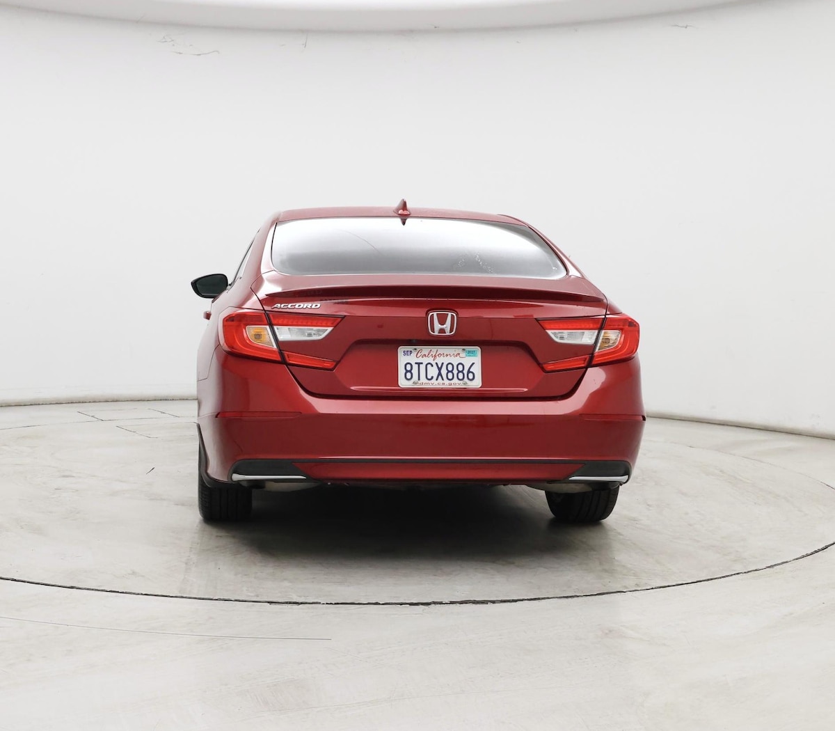Rear