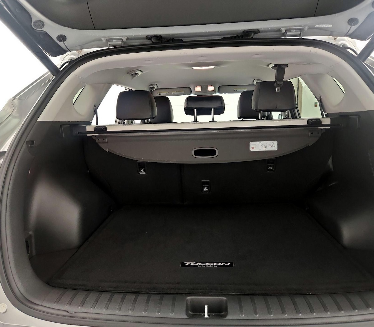 Trunk/Cargo (Seats Up)