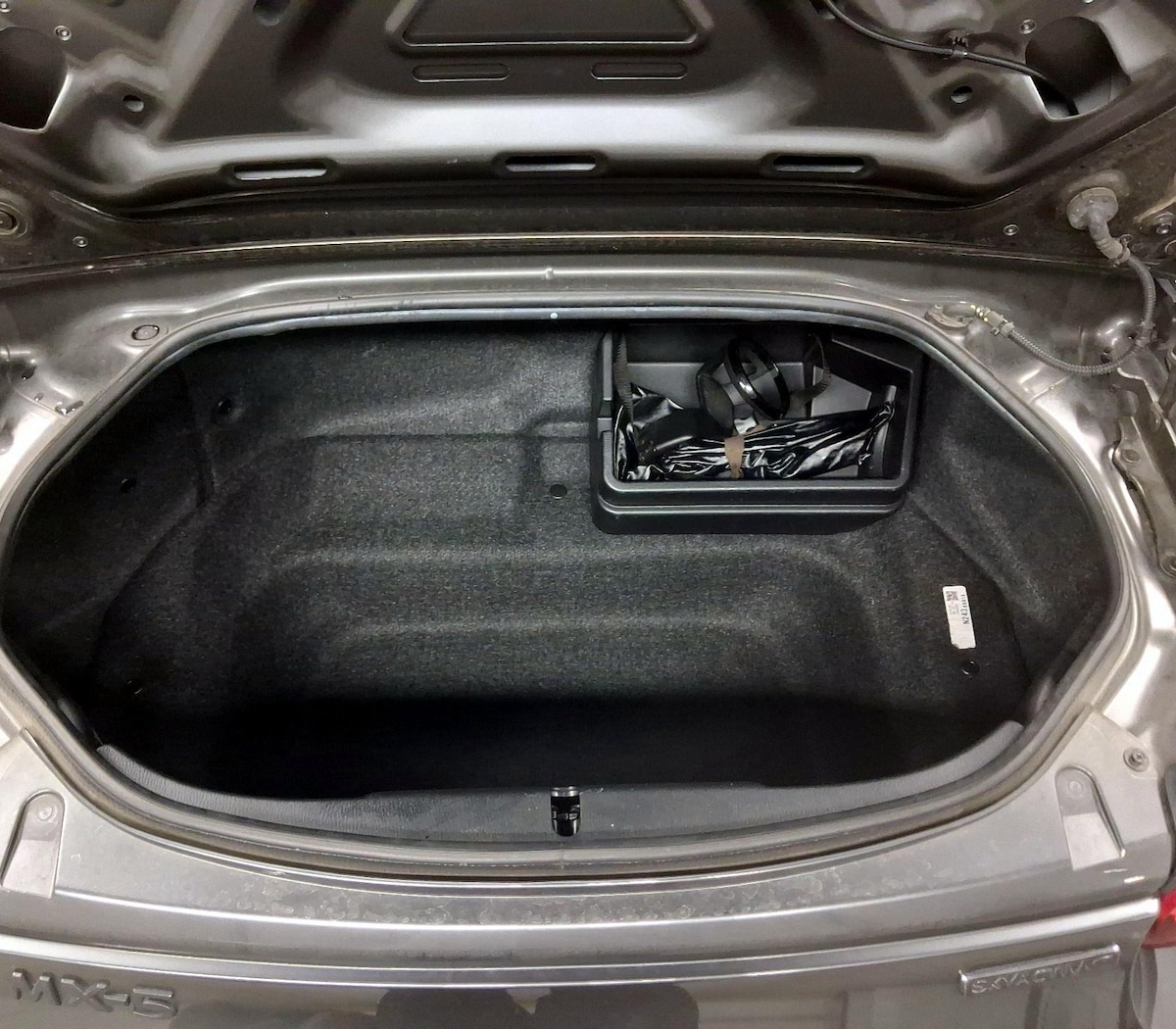 Trunk/Cargo (Seats Up)