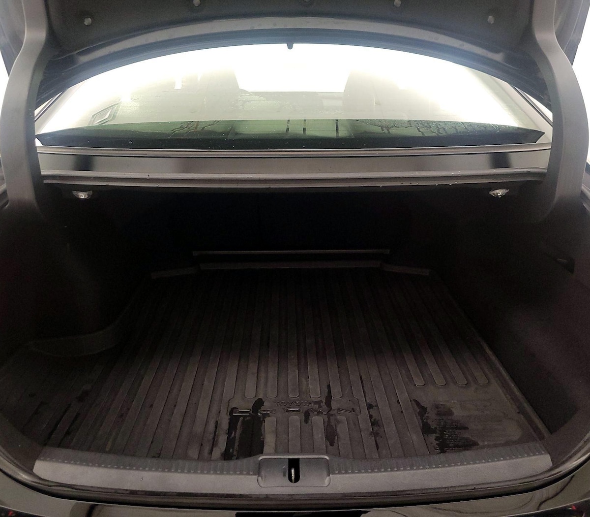 Trunk/Cargo (Seats Up)